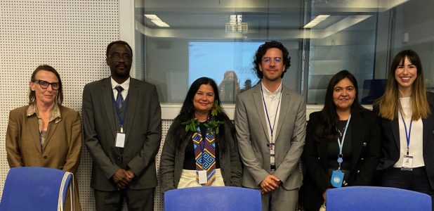 UN Side Event